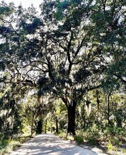 2961 Hut Rd in Johns Island, SC - Building Photo - Building Photo