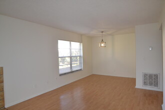 14308 Hanging Moss Cir in Tampa, FL - Building Photo - Building Photo