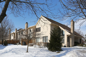 Deer Run in Palatine, IL - Building Photo - Building Photo