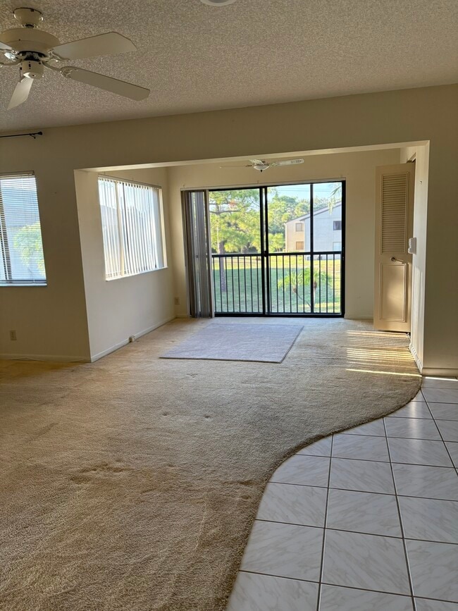 property at 503 Shady Pine Way