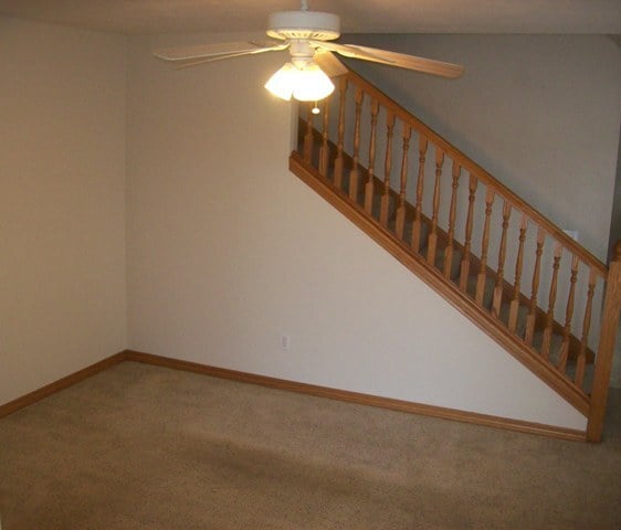 3027 N Fremont Ave in Springfield, MO - Building Photo - Building Photo