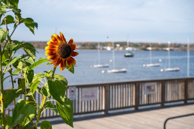 Apartamentos Alquiler en Downtown Fall River, MA