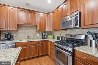 20060 Northville Hills Terrace in Ashburn, VA - Building Photo - Building Photo