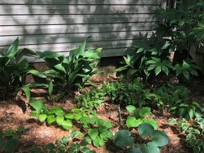 3606 Walkers Ferry Ln in Johns Island, SC - Building Photo - Building Photo