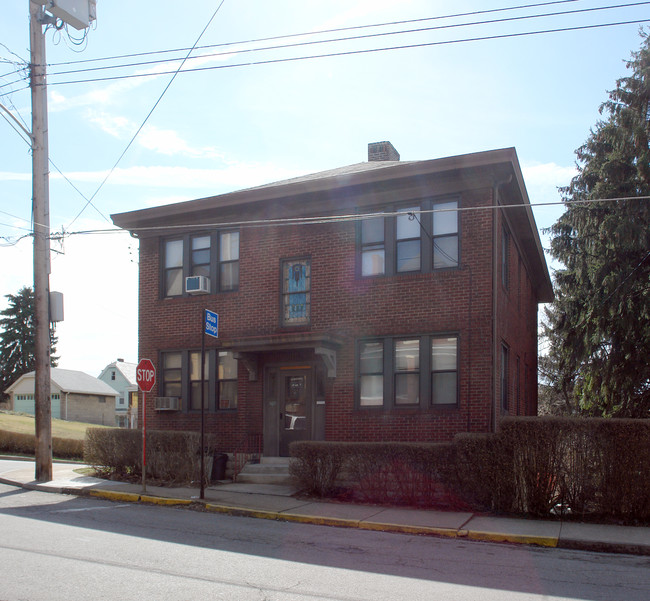 163 Ormsby Ave in Pittsburgh, PA - Foto de edificio - Building Photo