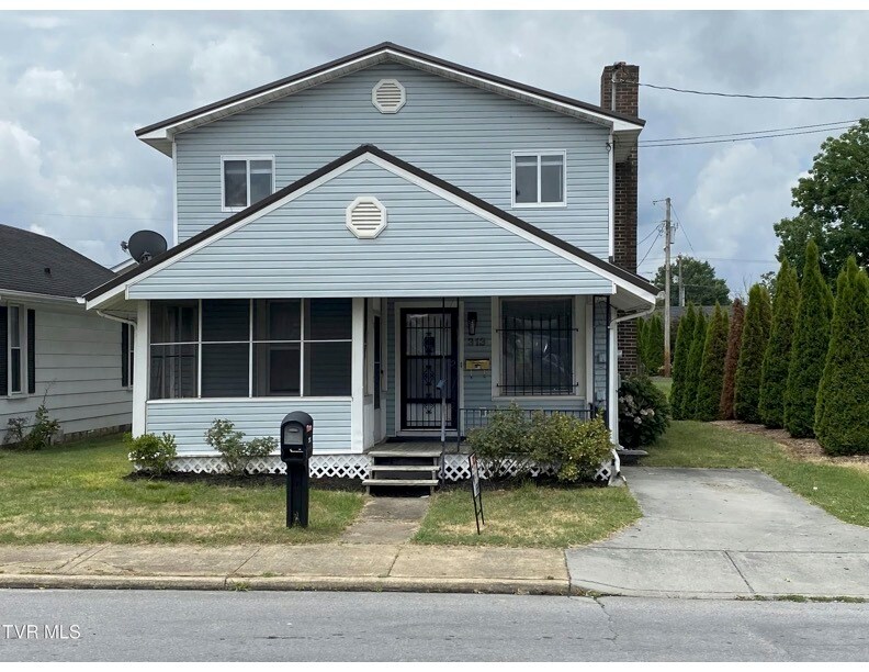 313 Northeast St in Elizabethton, TN - Building Photo