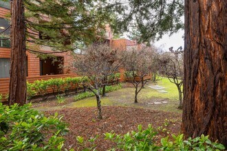 4250 El Camino Real in Palo Alto, CA - Building Photo - Building Photo