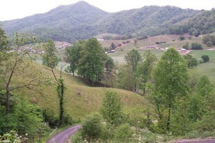 97 N Coyote Springs Farm Rd in Leicester, NC - Building Photo