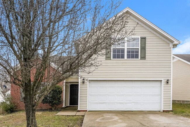 property at 1114 Sima Shabat Ct