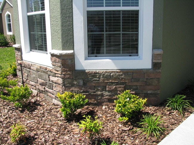 3905 Flowering Orchid Ln in Kissimmee, FL - Building Photo - Building Photo