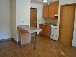 Elliot Court Apartments in Minneapolis, MN - Building Photo - Building Photo