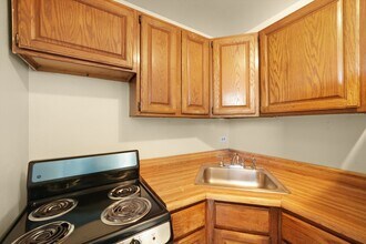 2610 W Balmoral Ave in Chicago, IL - Building Photo - Building Photo