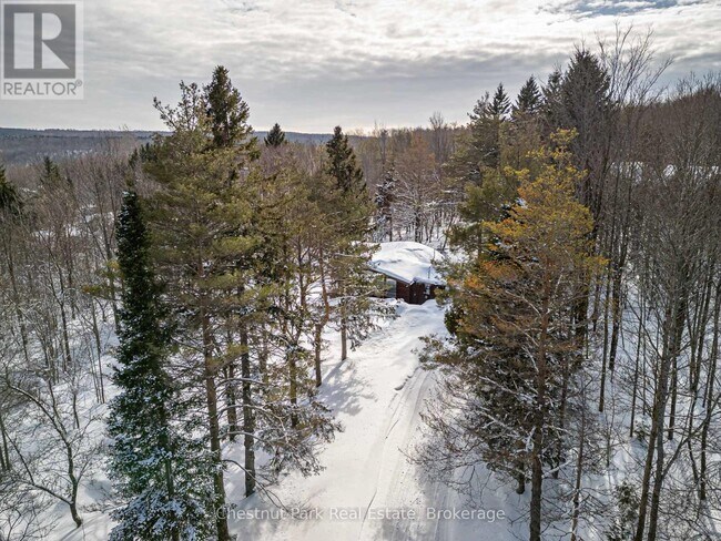 116 Castleview Rd in Blue Mountains, ON - Building Photo - Building Photo