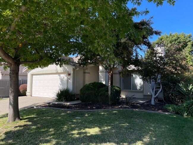 property at 9630 Flame Tokay Way