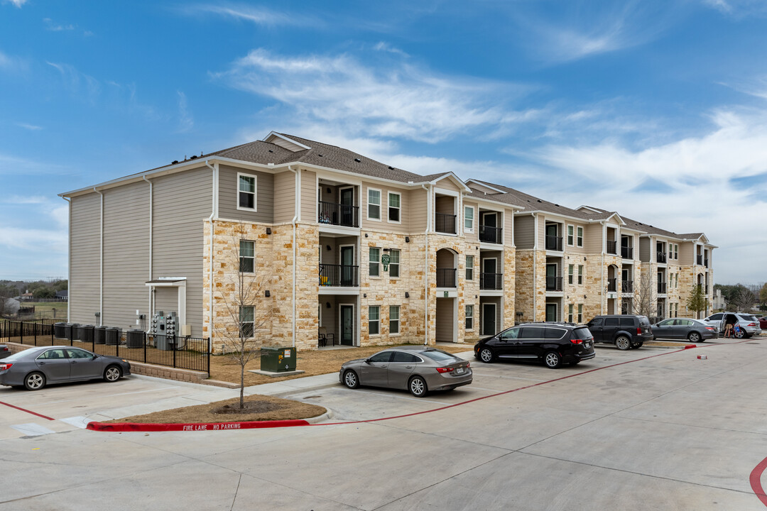 Agave East Apartments in Del Valle, TX - Building Photo