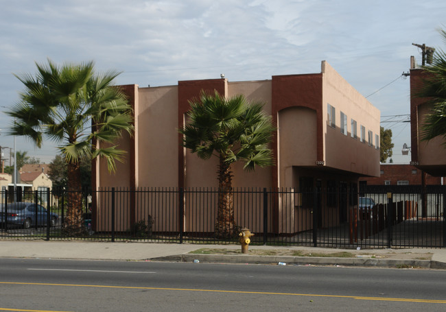 7800 Avalon Blvd in Los Angeles, CA - Building Photo - Building Photo