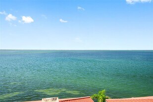 6372 Palma Del Mar Blvd S in St. Petersburg, FL - Building Photo