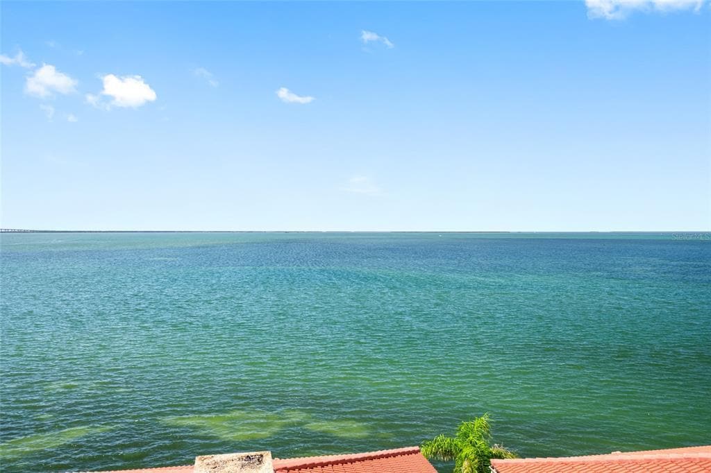 6372 Palma Del Mar Blvd S in St. Petersburg, FL - Building Photo