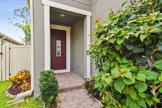 1553 Amber Leaf Cir in Ocoee, FL - Building Photo - Building Photo