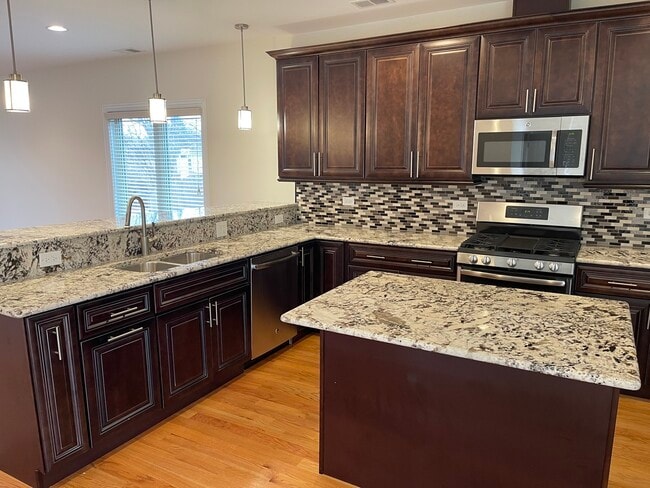 910 East St in Lemont, IL - Building Photo - Building Photo