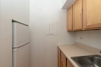 539 W Arlington Pl in Chicago, IL - Building Photo - Building Photo