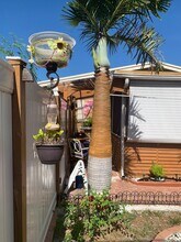 441 NW 14th Way in Fort Lauderdale, FL - Building Photo - Building Photo