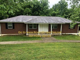 163 Vulco Dr in Hendersonville, TN - Building Photo