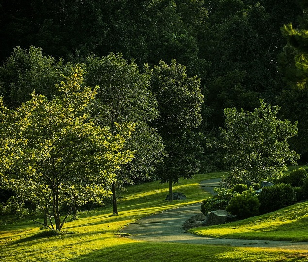 Apartamentos Alquiler en Fairfax, VA