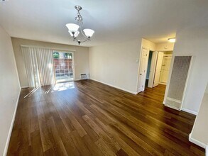 7317 Starward Dr in Dublin, CA - Building Photo - Building Photo