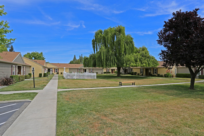 Broadway Senior Center in Sacramento, CA - Building Photo - Building Photo