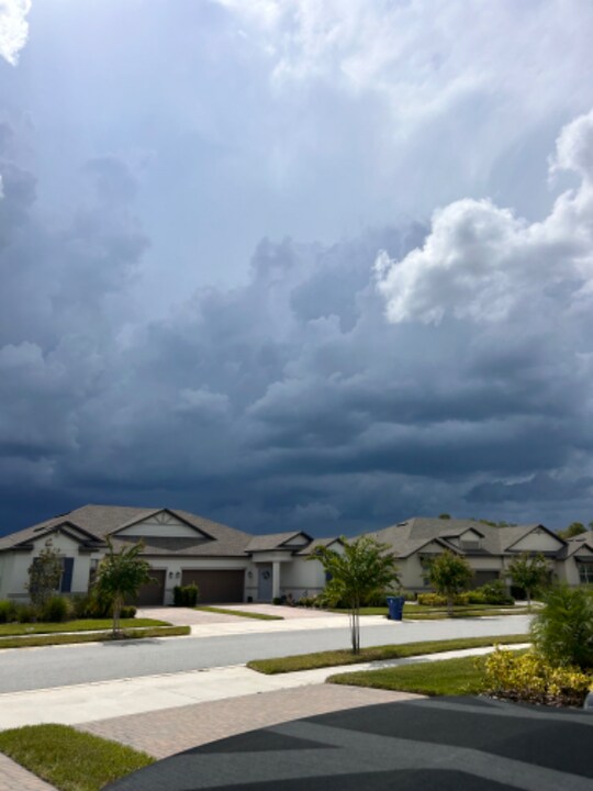 9808 Campanula Ct in Land O Lakes, FL - Building Photo