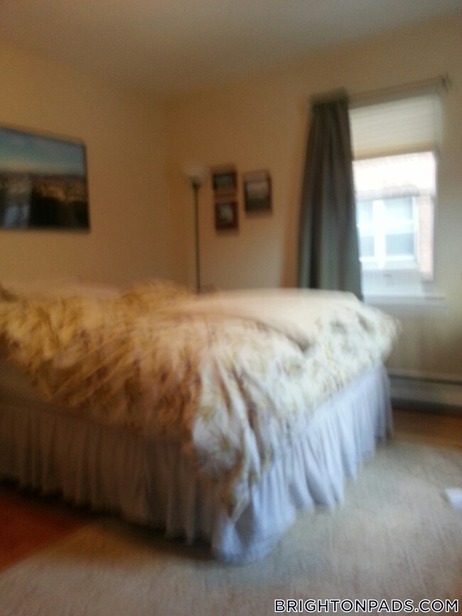 69 Chiswick Rd in Boston, MA - Building Photo - Building Photo