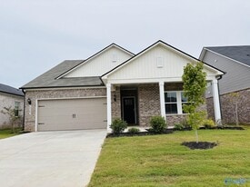 29267 Satilla Cir in Madison, AL - Building Photo