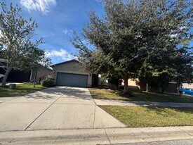 687 Petal Mist Ln in Brooksville, FL - Building Photo