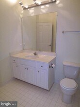 21222 McFadden Square in Cascades, VA - Building Photo - Building Photo