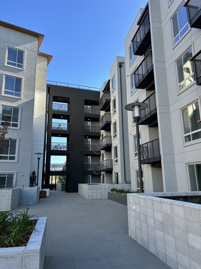 Blue Oak Square Apartments in Concord, CA - Building Photo - Building Photo