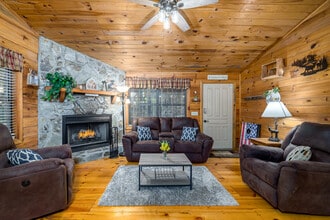 159 Pack Creek Rd in Blue Ridge, GA - Building Photo - Building Photo