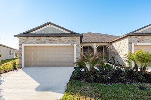 18234 Pleasantview Blvd in Land O Lakes, FL - Building Photo