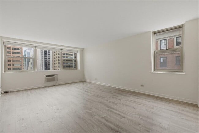 253 E Delaware Pl in Chicago, IL - Building Photo - Building Photo