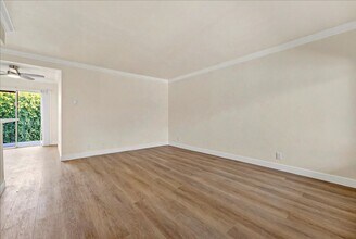 11661 Erwin St in Los Angeles, CA - Building Photo - Building Photo