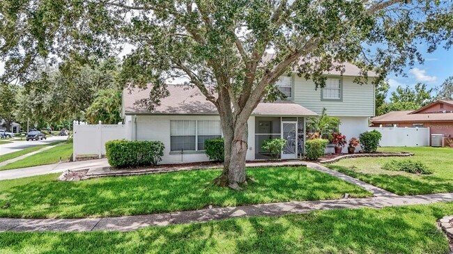 2430 Falcon Ln in Palm Harbor, FL - Building Photo - Building Photo