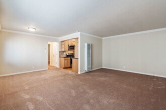 1549 San Carlos Ave in San Carlos, CA - Foto de edificio - Building Photo