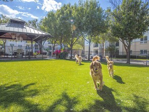 Pavilion Townplace Apartments in Dallas, TX - Building Photo - Building Photo