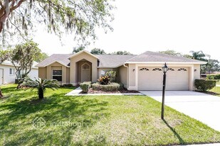 9201 Rockrose Dr in Tampa, FL - Building Photo