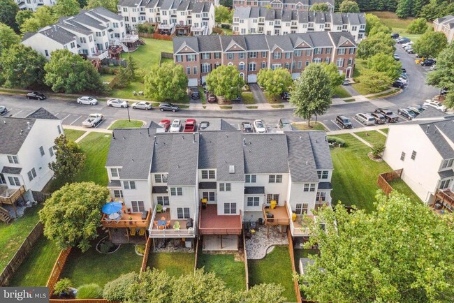 2482 Jostaberry Way in Odenton, MD - Building Photo - Building Photo