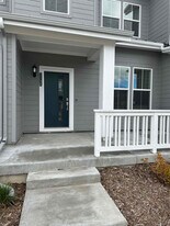 5396 Euclid Dr in Timnath, CO - Building Photo