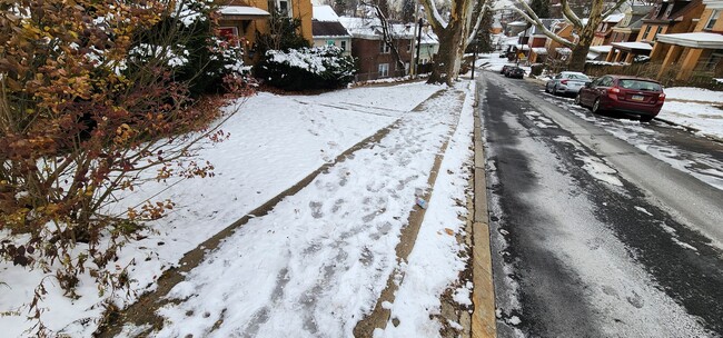 306 Alice St in Pittsburgh, PA - Building Photo - Building Photo