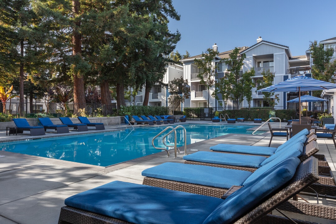 Renaissance Apartment Homes in Sunnyvale, CA - Foto de edificio
