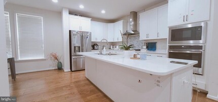22811 Trailing Rose Ct in Brambleton, VA - Building Photo - Building Photo