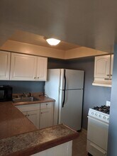355 Atwood St in Pittsburgh, PA - Building Photo - Building Photo